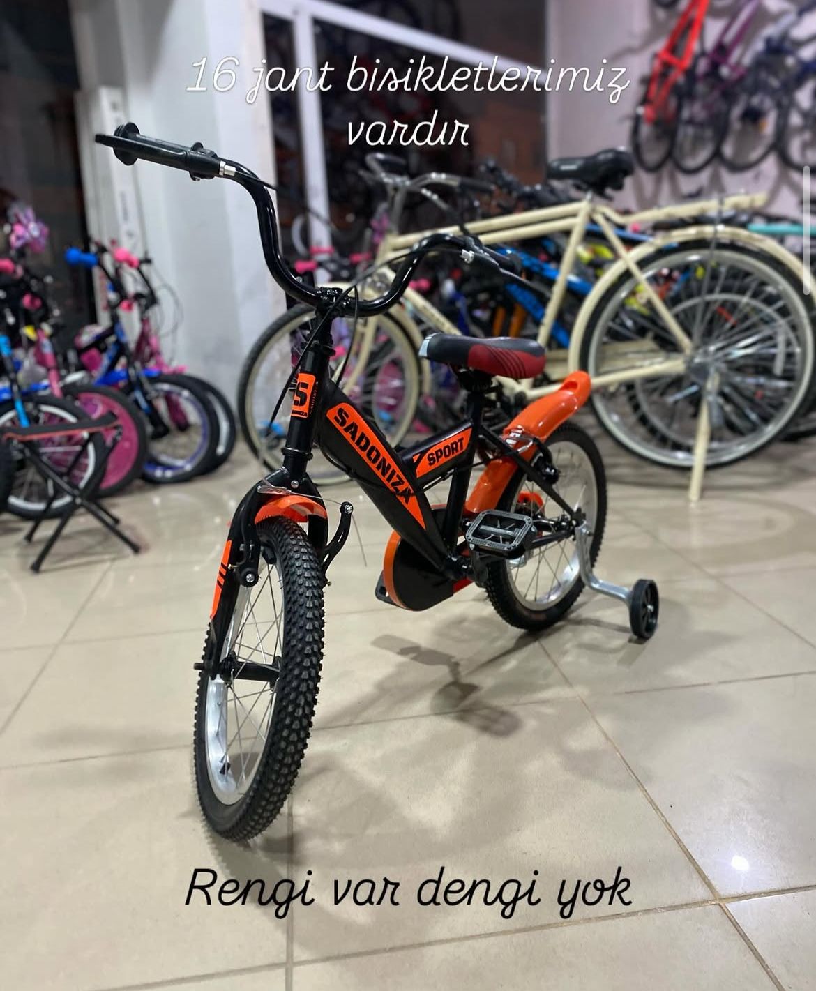 Dilek Motor